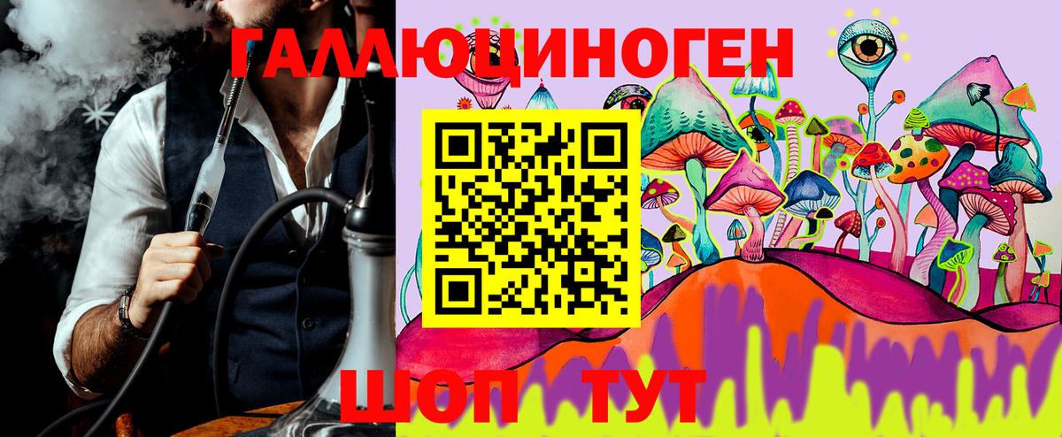 Галлюциногенные грибы GOLDEN TEACHER  Псилоцибиновые грибы Psilocybe  Ейск  Вход с VPN 