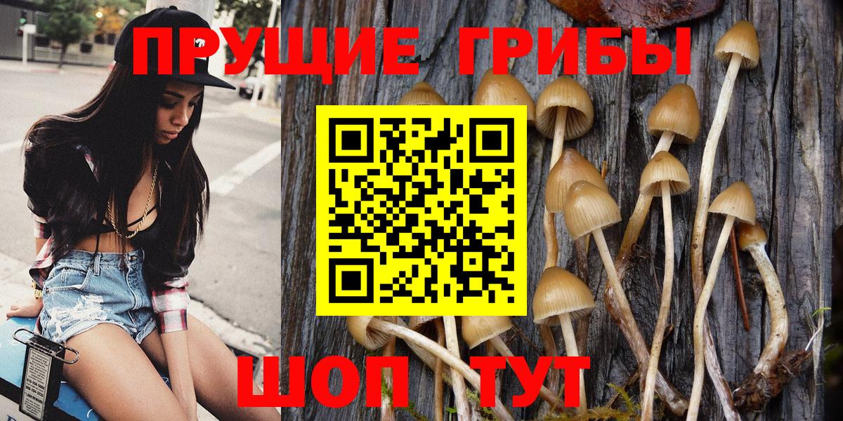 Псилоцибиновые грибы Psilocybine cubensis Ейск